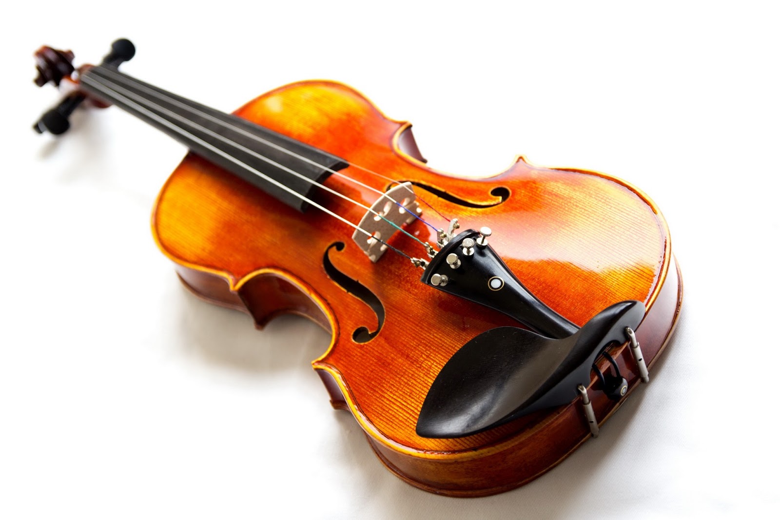 Khóa học violin cho người mới học