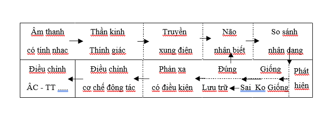 hình thành thính giác trung tâm