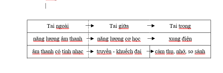 tiếp nhận âm thanh có tính nhạc