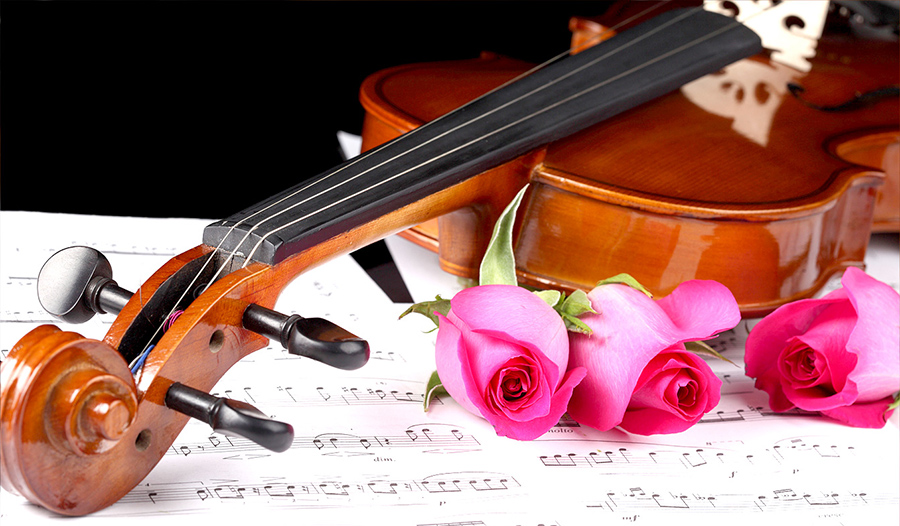 Violin – Âm thanh minh chứng cho tình yêu